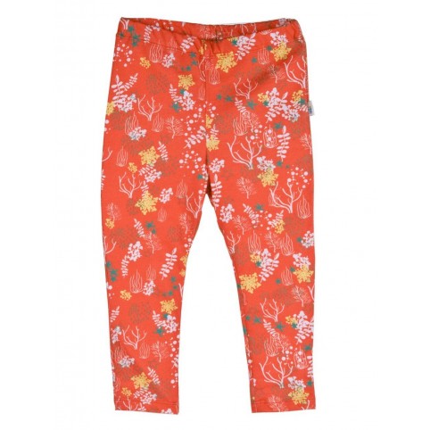 Legging coton bio Orange