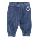 Pantalon coton bio velours marine Pingouin