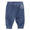 Pantalon coton bio velours marine Pingouin