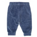 Pantalon coton bio velours marine Pingouin