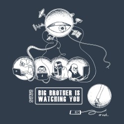 Tee-shirt coton bio Big Brother Gris Encre