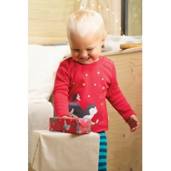 Top coton bio chien