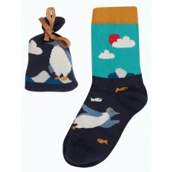Pochette cadeau chaussettes coton bio Pingouin