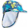Casquette Tree Frog Kite