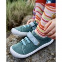 Harlequin vegan Abete