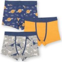 Lot 3 boxers coton bio Dino