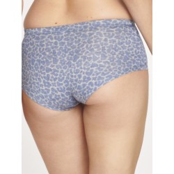 Boxer bambou Esmeray