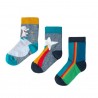 Lot 3 paires chaussettes coton bio Astro