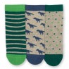 Lot 3 paires chaussettes coton bio Dino