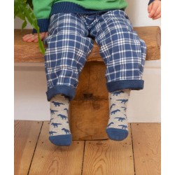 Lot 3 paires chaussettes coton bio Dino