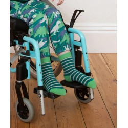 Lot 3 paires chaussettes coton bio Dino