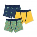 Lot 3 boxers coton bio Tracteurs