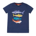 Tee-Shirt coton bio Avery