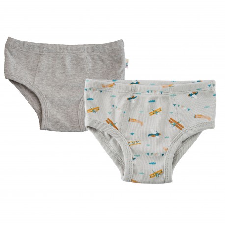 Lot de 2 slips coton bio Avion