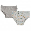 Lot de 2 slips coton bio Avion