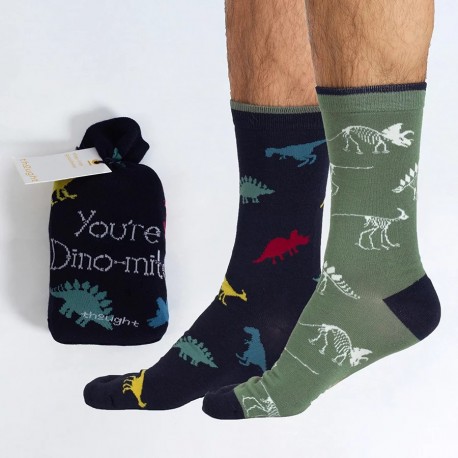2 Paires Chaussettes bambou Pochette Dino