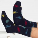 2 Paires Chaussettes bambou Pochette Dino