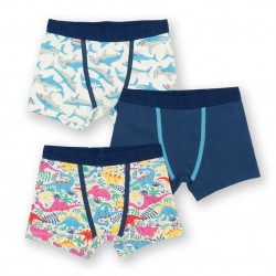 Lot 3 boxers coton bio Shark