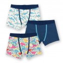 Lot 3 boxers coton bio Shark