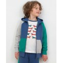 Gilet coton bio Hoody