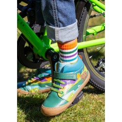 Lot 5 paires chaussettes coton bio Rainbow