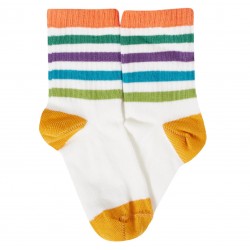 Lot 5 paires chaussettes coton bio Rainbow