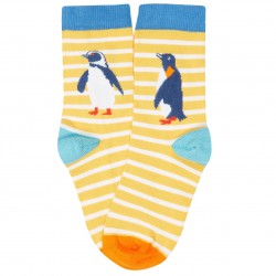 Lot 3 paires chaussettes coton bio Pingouin