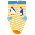 Lot 3 paires chaussettes coton bio Pingouin