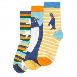 Lot 3 paires chaussettes coton bio Pingouin