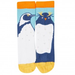 Lot 3 paires chaussettes coton bio Pingouin