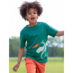 T-shirt coton bio Dragon