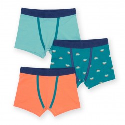 Lot 3 boxers coton bio Dino