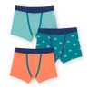 Lot 3 boxers coton bio Dino