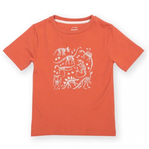 T-shirt coton bio Dino Discovery