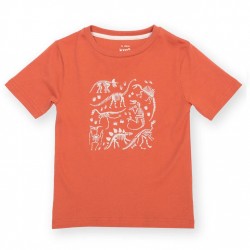 T-shirt coton bio Dino Discovery