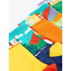 Lot 5 paires chaussettes coton bio Aventure