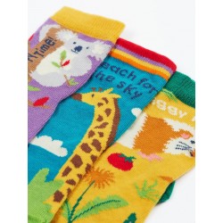 Lot 3 paires chaussettes coton bio Animaux